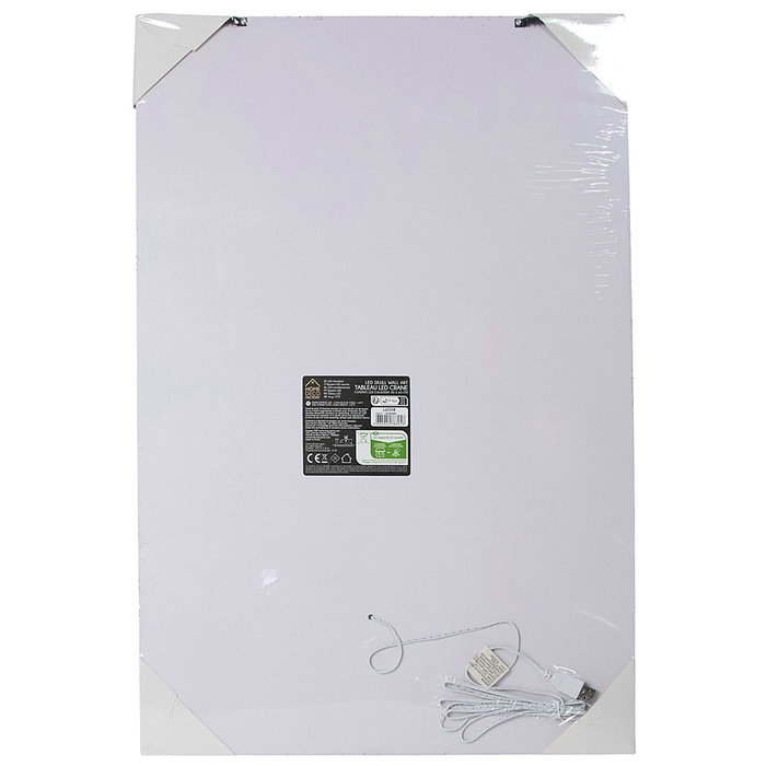 Home Deco Factory Cuadro Neón LED Cráneo 40x60 cm