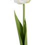 Flor Tulipán Blanco Tejido Decoración 63 cm (Set de 12)