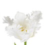 Flor Tulipán Blanco Tejido Decoración 63 cm (Set de 12)