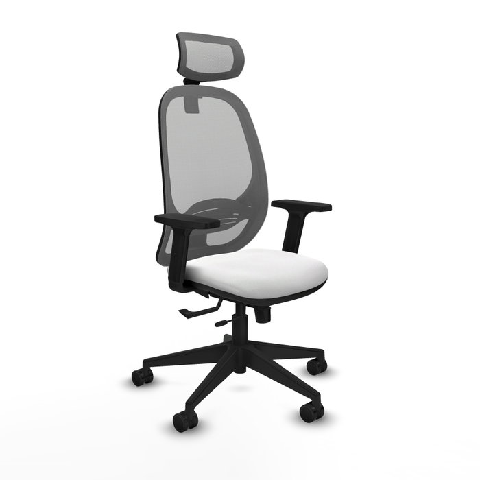 PIQUERAS Y CRESPO Silla de oficina Cilanco con mecanismo Sincro/Traslack, Gris y Blanco PIQUERAS Y CRESPO Silla de oficina Cilanco con mecanismo Sincro/Traslack, Gris y Blanco