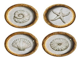 DKD Home Decor Cuadro Cristal Ratan con Concha Surtido de 4 Unidades