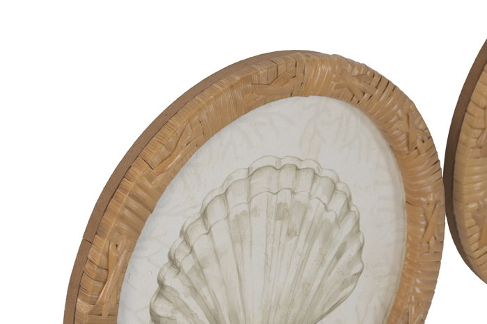 DKD Home Decor Cuadro Cristal Ratan con Concha Surtido de 4 Unidades