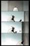 Astisendo Grupo Editorial HEATHEN. PAGANA 03