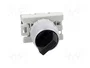 SPAMEL Interruptor Rotativo Negro de 22mm