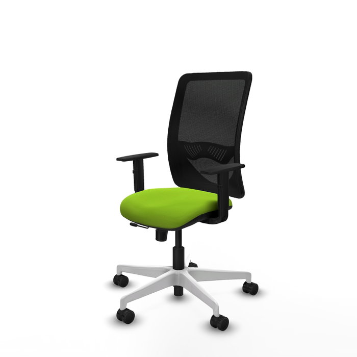 PIQUERAS Y CRESPO Silla de oficina Zulema con mecanismo Sincro/Traslack Pistacho y Negro PIQUERAS Y CRESPO Silla de oficina Zulema con mecanismo Sincro/Traslack Pistacho y Negro