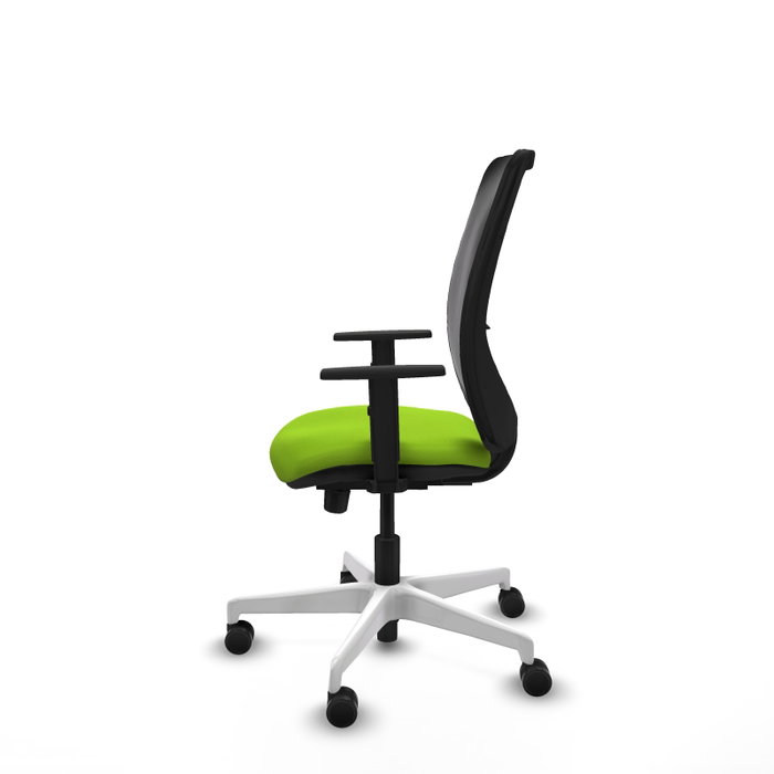 PIQUERAS Y CRESPO Silla de oficina Zulema con mecanismo Sincro/Traslack Pistacho y Negro PIQUERAS Y CRESPO Silla de oficina Zulema con mecanismo Sincro/Traslack Pistacho y Negro