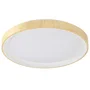 Plafón LED Decorativo 36W CCT 3000-6000K Regulable con Control Remoto