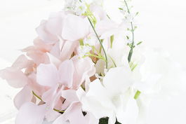 DKD Home Decor Planta Rosa Blanco 17 x 24 x 20 cm (4 Unidades)