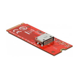 DeLOCK Convertidor M.2 Key M a 1 x OCuLink SFF-8612 64106