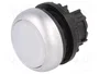 Eaton M22-DRL-W Pulsador con Indicador Luminoso Blanco Enclavado
