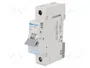 HAGER MCN106E Interruptor Magnetotérmico 6A 1 Polo 6kA