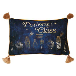 WIDDOP & CO Cojín Velvet Potions Class Harry Potter