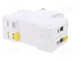 SCHNEIDER ELECTRIC Interruptor magnetotérmico ACTI9 iC60N 2A 2P Característica D