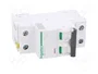 SCHNEIDER ELECTRIC Interruptor magnetotérmico ACTI9 iC60N 2A 2P Característica D
