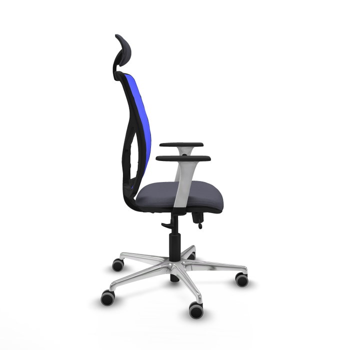 PIQUERAS Y CRESPO Silla de oficina Motilla Gris oscuro/Azul PIQUERAS Y CRESPO Silla de oficina Motilla Gris oscuro/Azul