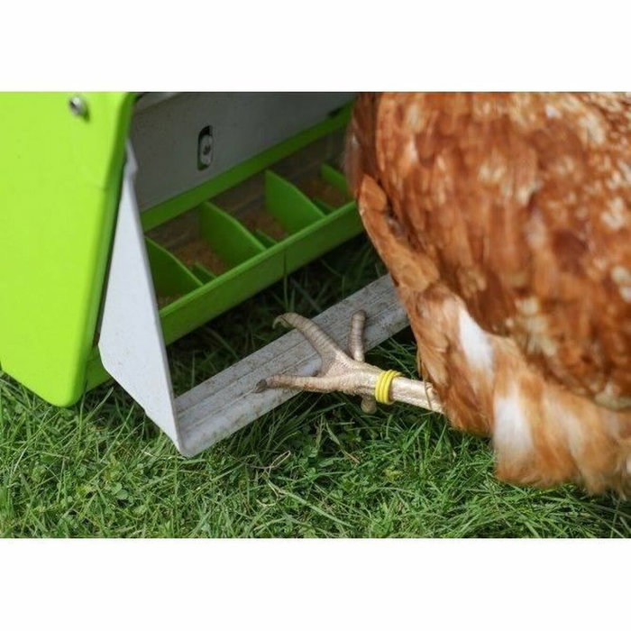 Kerbl SmartCoop Comedero automático con persiana protectora - Verde