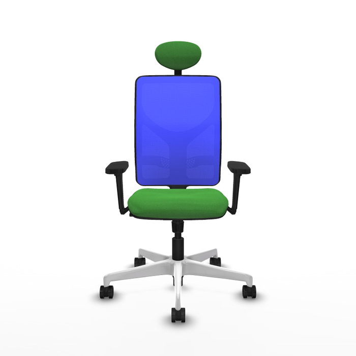 PIQUERAS Y CRESPO Silla de oficina Motilla con mecanismo Sincro, Verde y Azul PIQUERAS Y CRESPO Silla de oficina Motilla con mecanismo Sincro, Verde y Azul