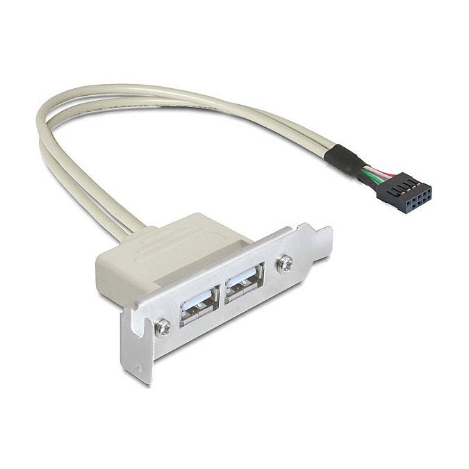 DeLOCK Slotblech USB 2.0 Low Profile 2 Puertos 0,5 m DeLOCK Slotblech USB 2.0 Low Profile 2 Puertos 0,5 m