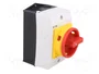 EATON ELECTRIC Interruptor de levas principal T0-1-102/I1/SVB 20A OFF-ON