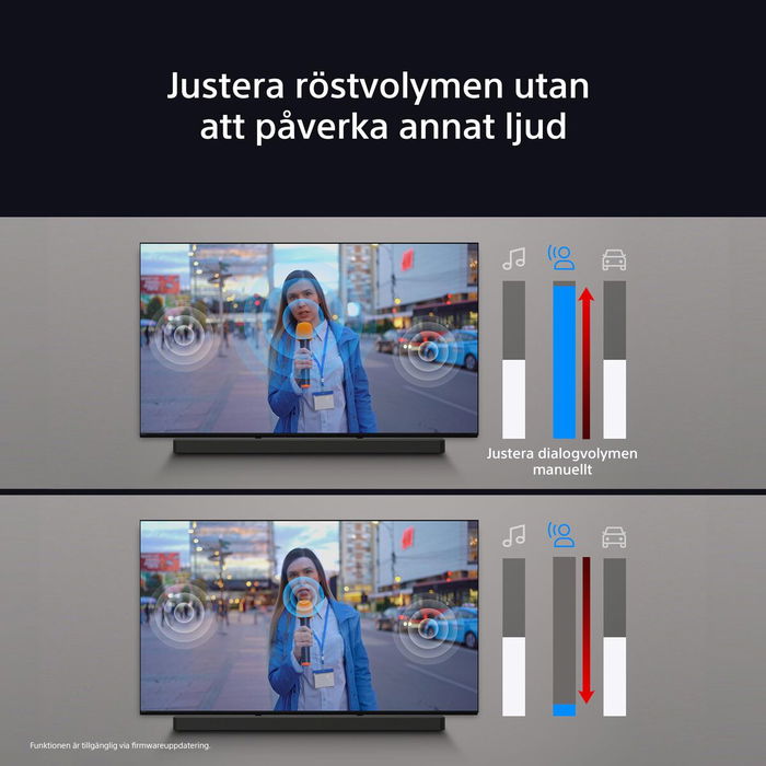 Barra de Sonido Sony BRAVIA Negro