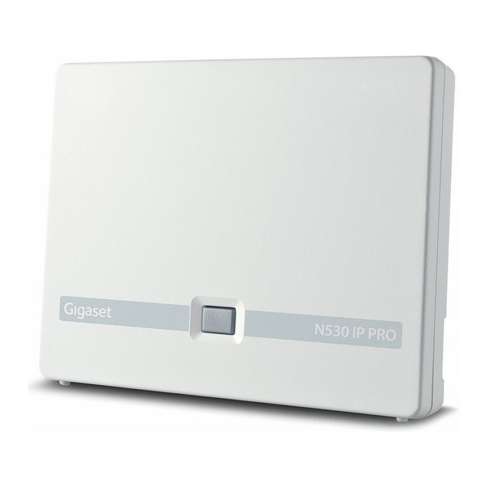 Gigaset N530IP PRO + S700H PRO Bundle, Teléfono DECT Inalámbrico con Altavoz, 500 Entradas, Identificador de Llamadas, Pantalla 2.4", Color Antracita