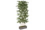 DKD Home Decor Planta de Bambú Verde con Pie de Madera