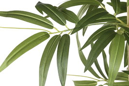 DKD Home Decor Planta Artificial Estilo Oriental con Bambú Verde 60x192x100 cm