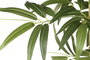 DKD Home Decor Planta Artificial Estilo Oriental con Bambú Verde 60x192x100 cm