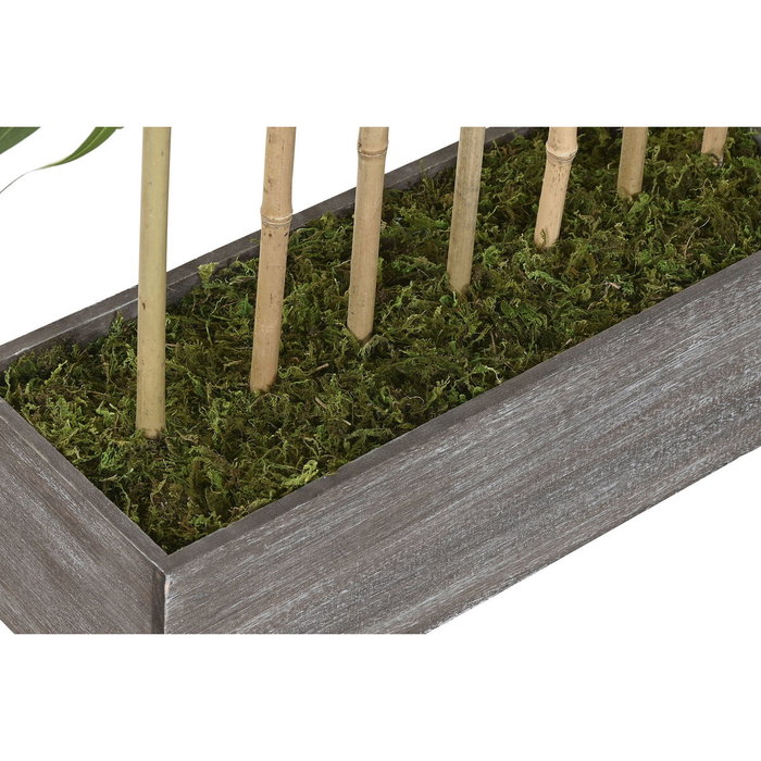 DKD Home Decor Planta de Bambú Verde con Pie de Madera
