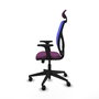 PIQUERAS Y CRESPO Silla de oficina Motilla con mecanismo Sincro/Traslack, Morado y Azul