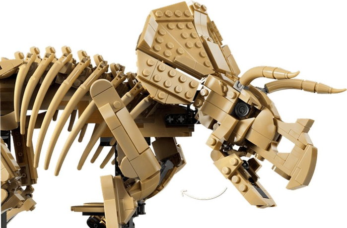 LEGO Jurassic World Fósiles de Dinosaurio: Triceratops 77985