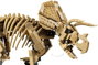 LEGO Jurassic World Fósiles de Dinosaurio: Triceratops 77985