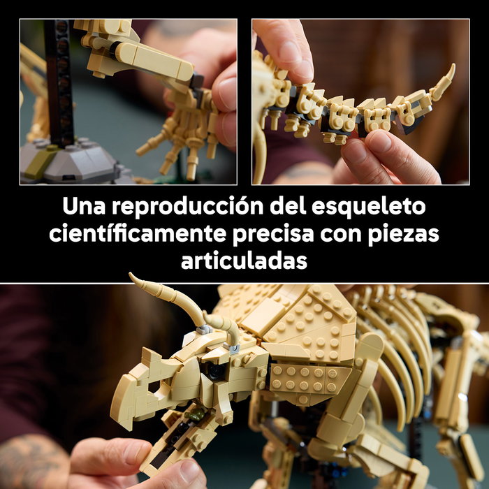 LEGO Jurassic World Fósiles de Dinosaurio: Triceratops 77985