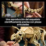 LEGO Jurassic World Fósiles de Dinosaurio: Triceratops 77985