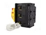 EATON ELECTRIC Interruptor de levas principal P5-250/EA/SVB 250A 90kW