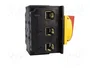 EATON ELECTRIC Interruptor de levas principal P5-250/EA/SVB 250A 90kW