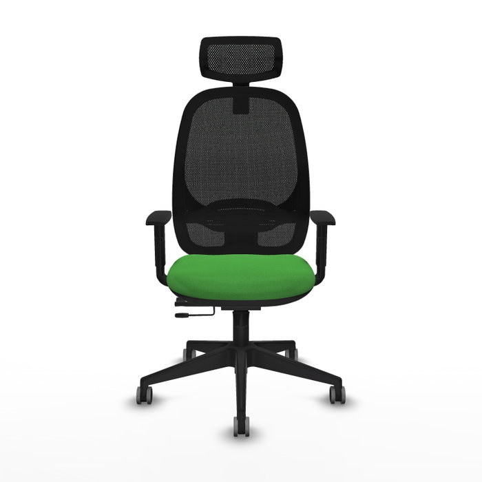 PIQUERAS Y CRESPO Silla de oficina Cilanco Verde con Mecanismo Sincro/Traslack PIQUERAS Y CRESPO Silla de oficina Cilanco Verde con Mecanismo Sincro/Traslack