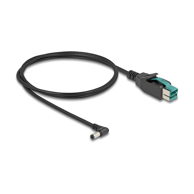 DeLOCK Cable PoweredUSB USB a DC 5,5 x 2,5 mm angular 1 m