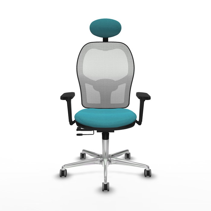PIQUERAS Y CRESPO Silla de oficina Jorquera con mecanismo Sincro/Traslack, Tela Turquesa y Malla Blanca PIQUERAS Y CRESPO Silla de oficina Jorquera con mecanismo Sincro/Traslack, Tela Turquesa y Malla Blanca