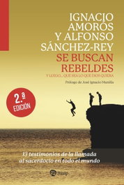 Se buscan rebeldes, Ignacio Amoros - RIALP