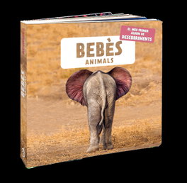 ANDANA, Bebès animals - Naturagency