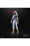 Hasbro Star Wars The Black Series Devon Izara