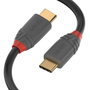 Lindy 36871 Cable USB 2.0 USB-C a USB-C de 1 m, Negro y Gris
