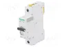 SCHNEIDER ELECTRIC ACTI9 iC60N Interruptor magnetotérmico 16A 1P Curva D