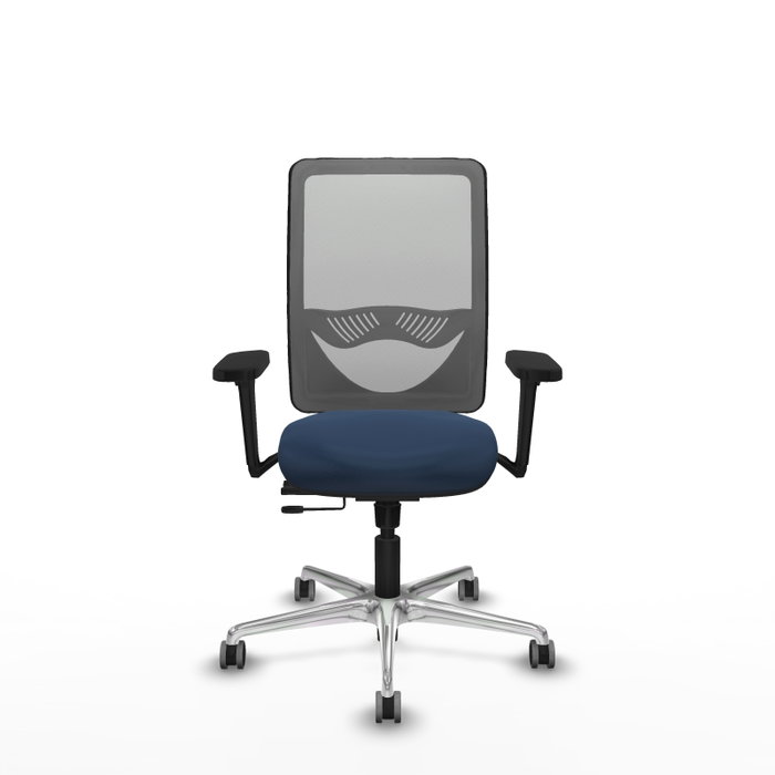 PIQUERAS Y CRESPO Silla de oficina Zulema con mecanismo Sincro/Traslack, Azul marino y Gris PIQUERAS Y CRESPO Silla de oficina Zulema con mecanismo Sincro/Traslack, Azul marino y Gris