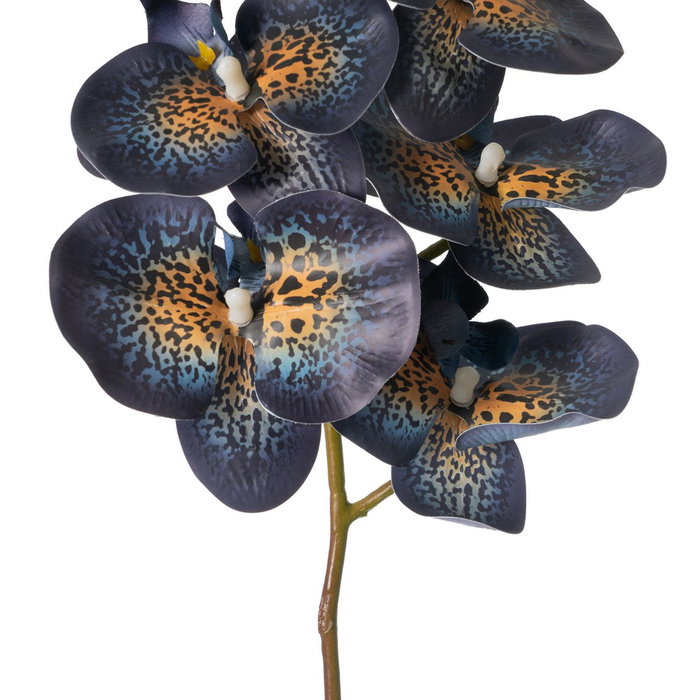 Flor Orquídea Azul Goma Decoración 95 cm (Set de 24)