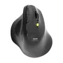 Port Designs Ratón Inalámbrico 910200 ERGO, Bluetooth y 2.4 GHz, Negro, Ergonómico