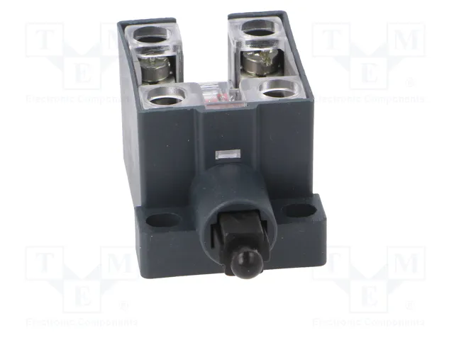 PIZZATO ELETTRICA Interruptor de fin de carrera con husillo de plástico NO x2 10A