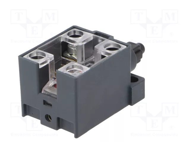 PIZZATO ELETTRICA Interruptor de fin de carrera con husillo de plástico NO x2 10A