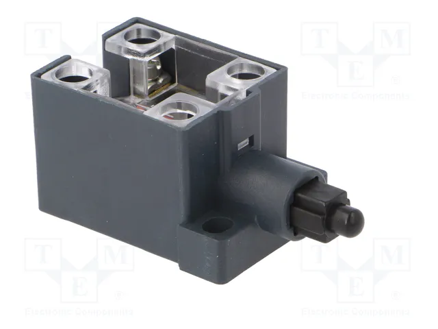PIZZATO ELETTRICA Interruptor de fin de carrera con husillo de plástico NO x2 10A